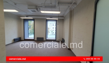 20230718_132855 1_001.jpg